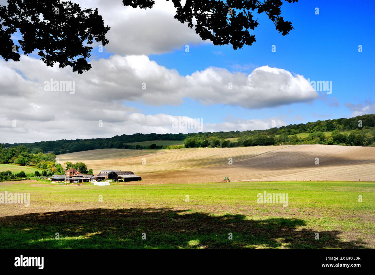 Farming landscape Albury Downs, Surrey Hills,near Guildford UK Stock Photo
