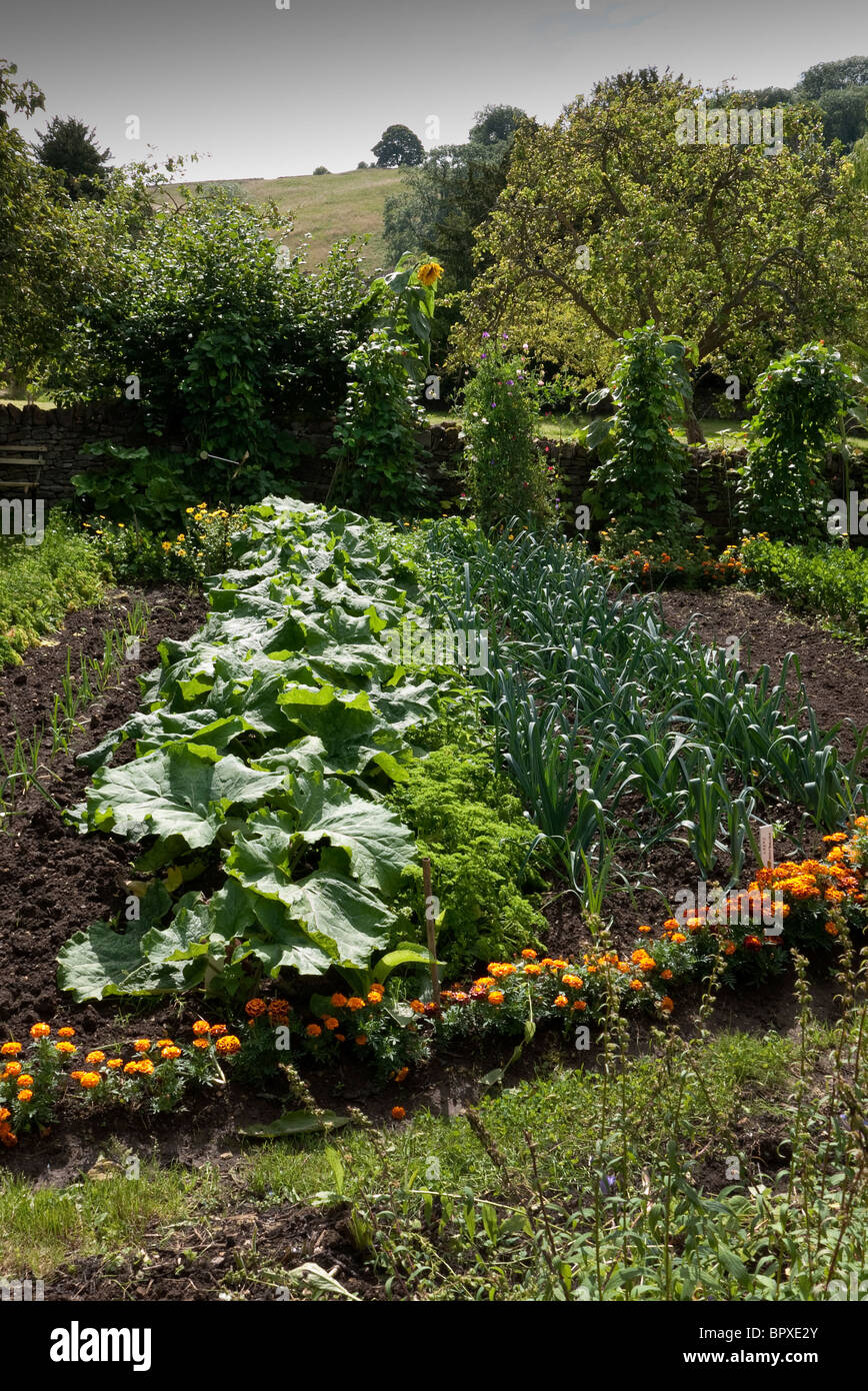Kitchen garden at English country House Stock Photo
