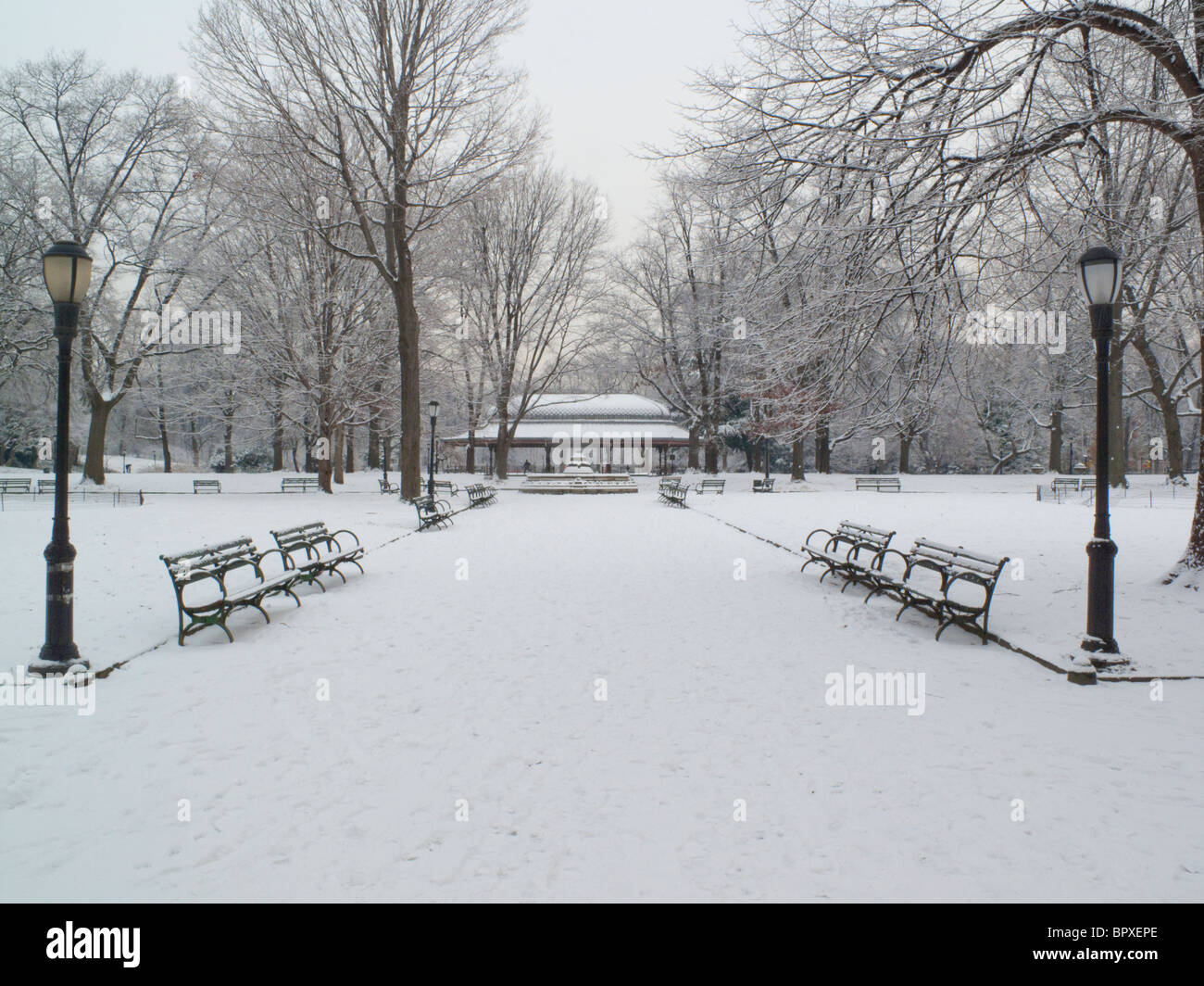 Prospect park benches Stock Photo Alamy