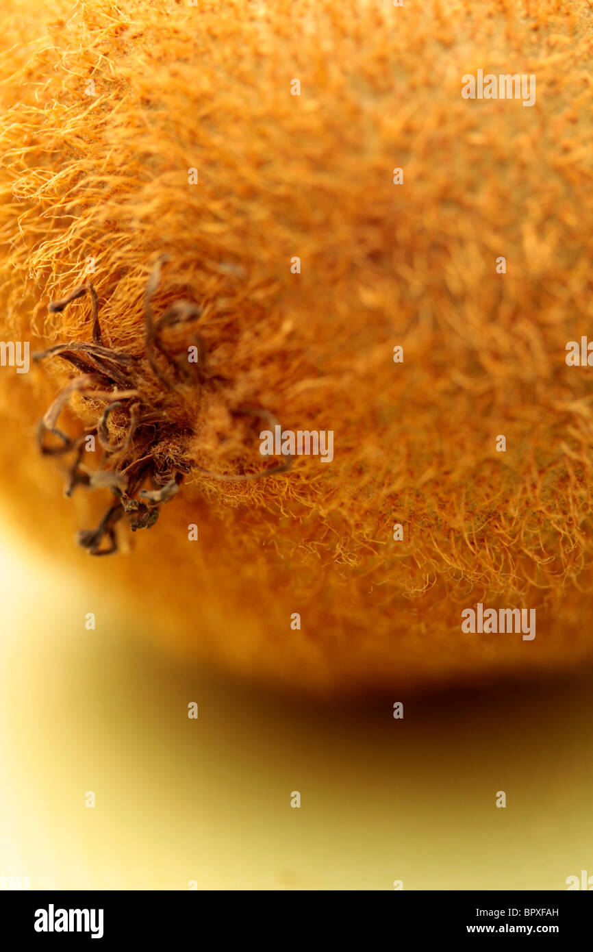 Hairy kiwi hi-res stock photography and images - Alamy