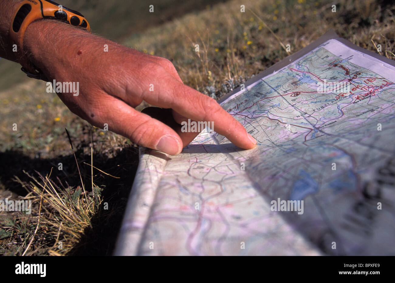 Man uses compass and topographic map to navigate in the mountains above Ouray, Colorado Stock Photo