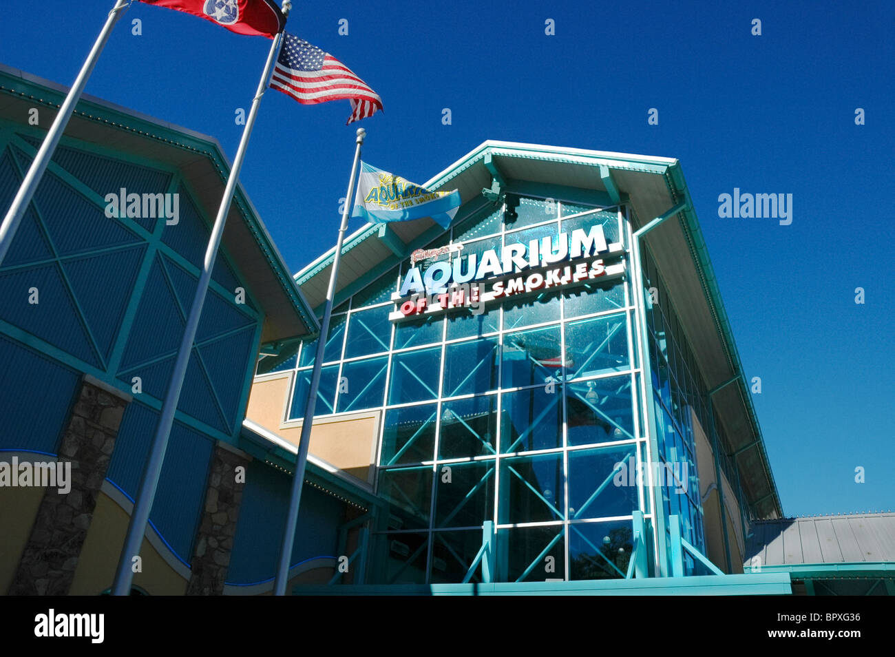 Ripley's Aquarium of the Smokies Gatlinburg Tennessee Stock Photo Alamy