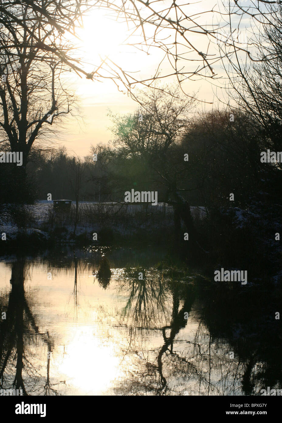 Winter sun on pond Stock Photo