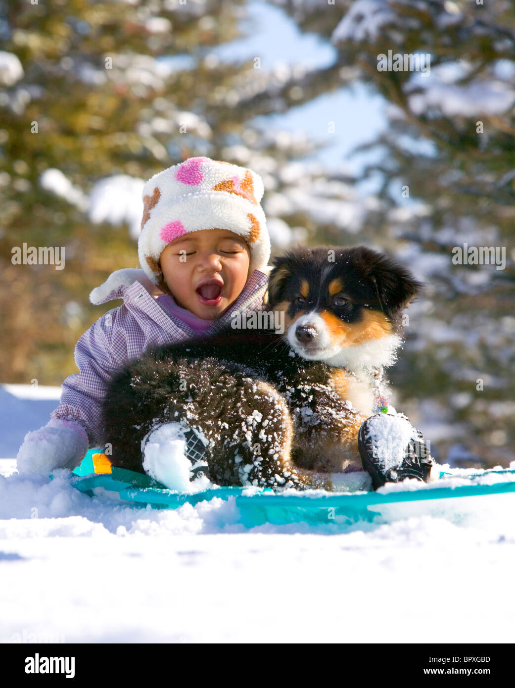 1-year-old baby girl sledding with her dog, a 12-week-old puppy, in Carbondale, Colorado. Stock Photo