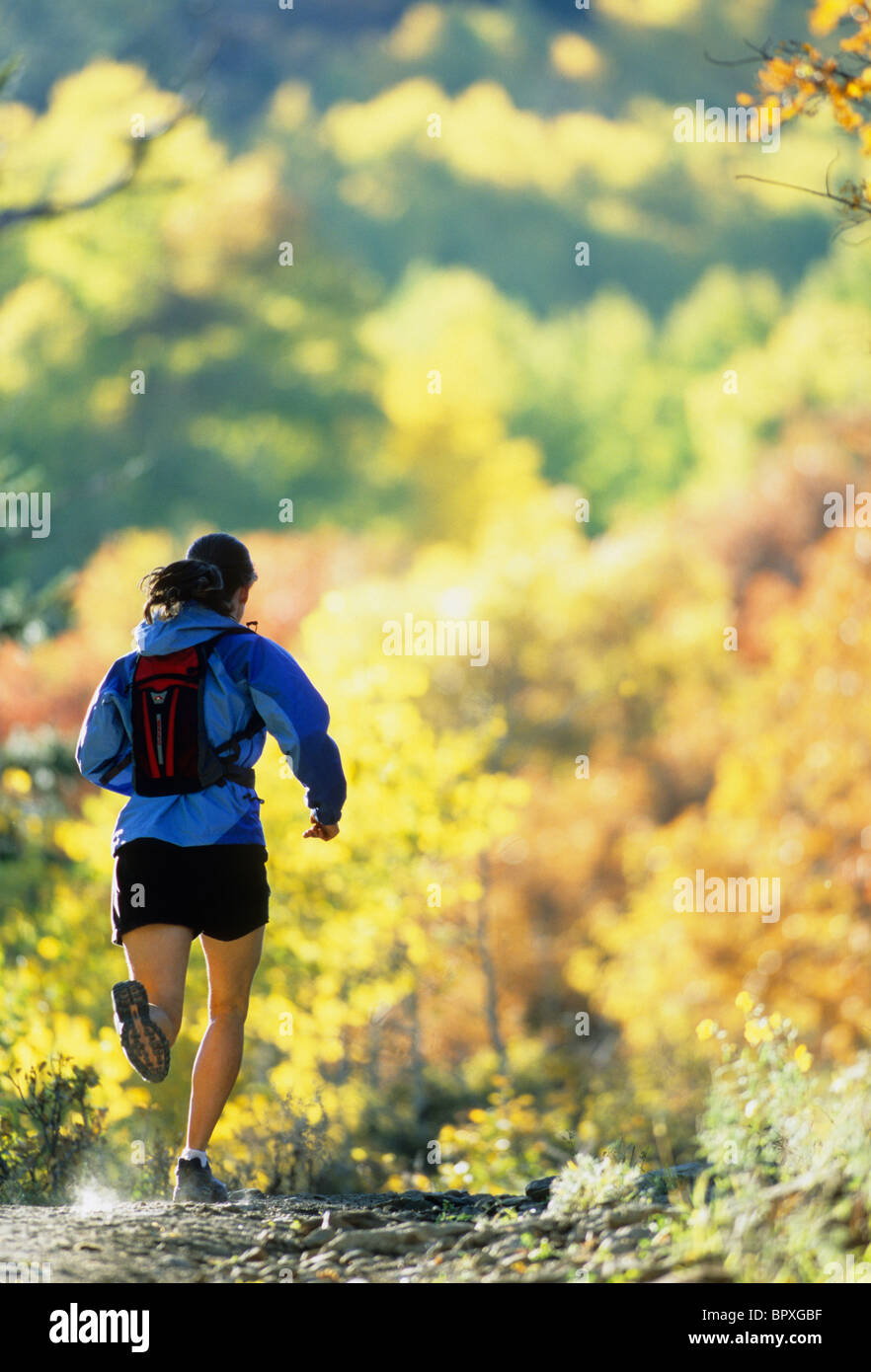 Female trail runner running the Marion Gulch Trail near Carbondale, Colorado, during the fall foliage. Stock Photo