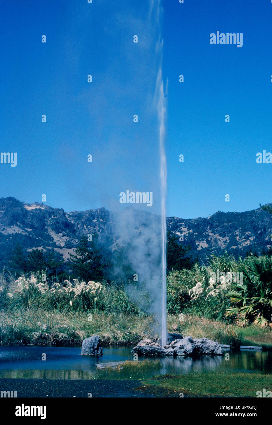 Geyserville hires stock photography and images Alamy