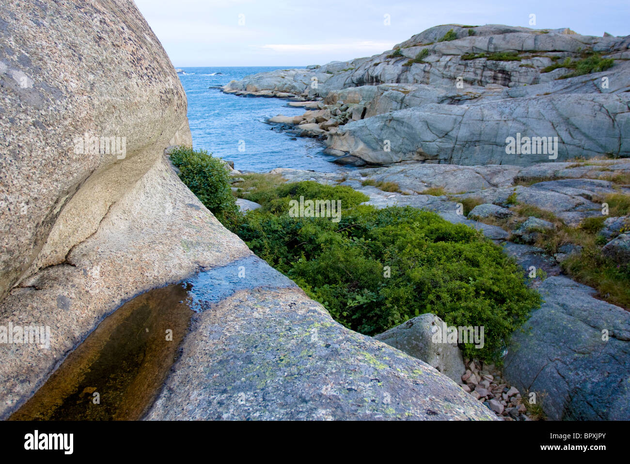 Rocky coastline with bushes at Verdens Ende, Tjome, Norway. Stock Photo