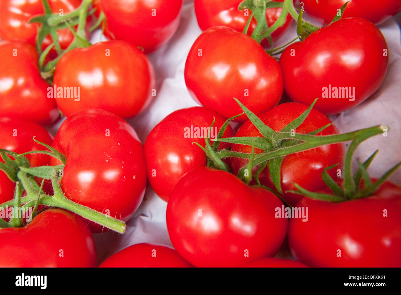 Fresh tomatoes with leaves for sale at the market Stock Photo - Alamy