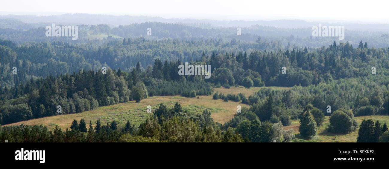Panorama of the landscape of southern Estonia from the higest point of the land (Big Egg Hill, 318m) Stock Photo