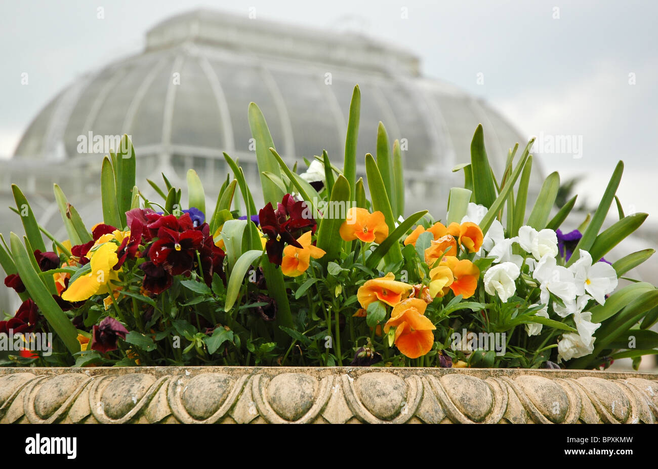Flowers in a vase at Royal Botanic Gardens at Kew Stock Photo