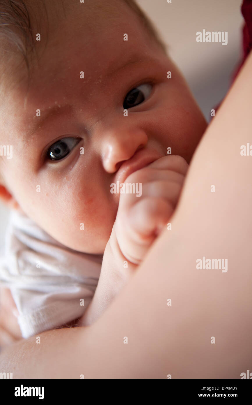 Baby sucking her fingers Stock Photo