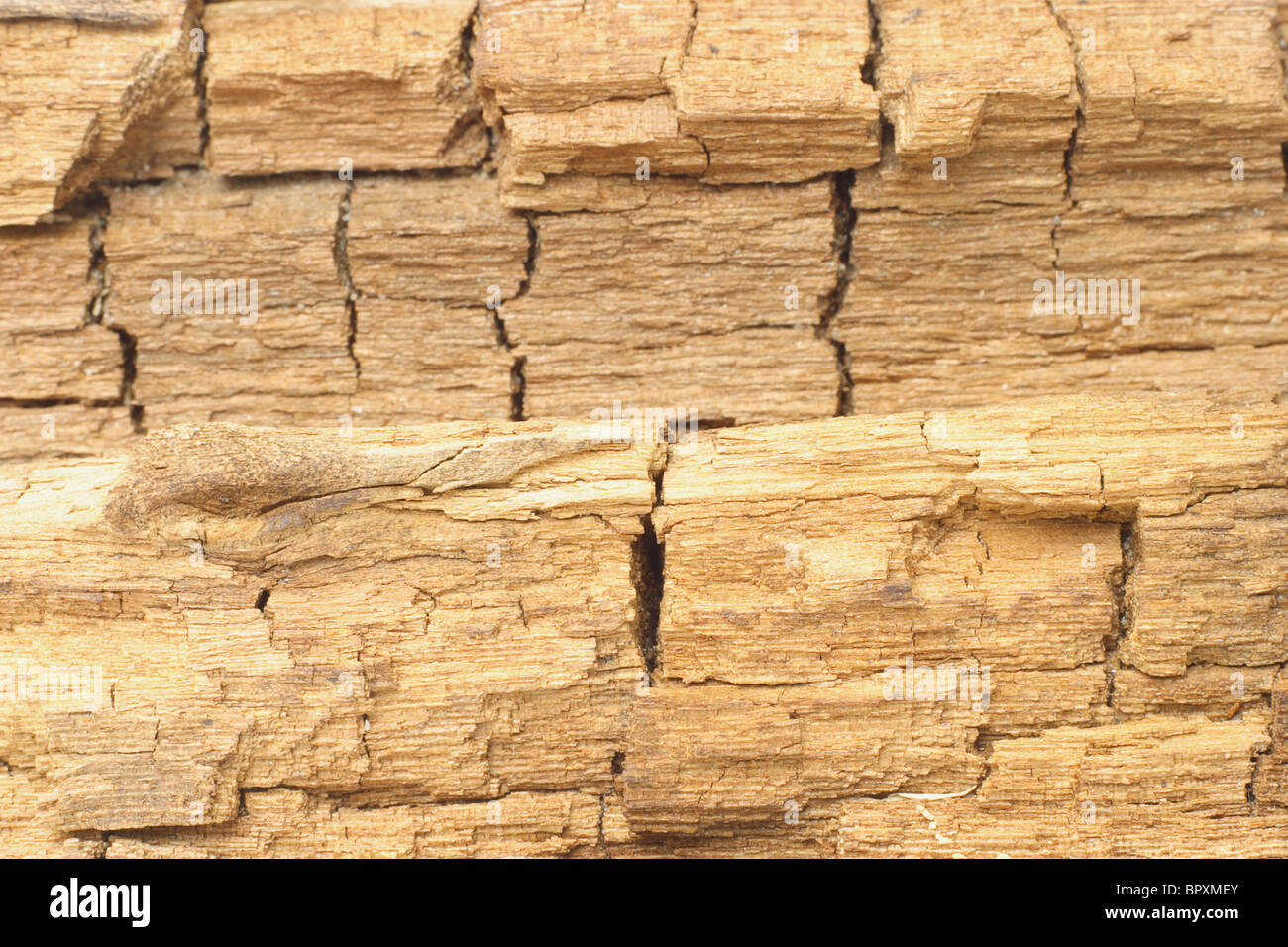 Weathered and cracked wood surface texture background Stock Photo