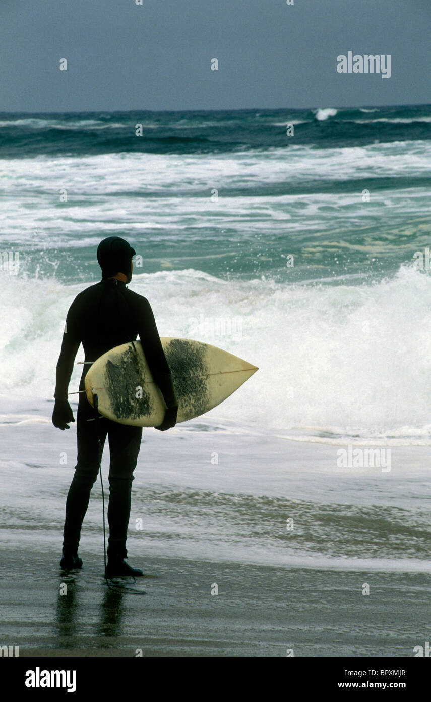 Surfing New England coastline, Cape Cod, Massachusetts Stock Photo Alamy