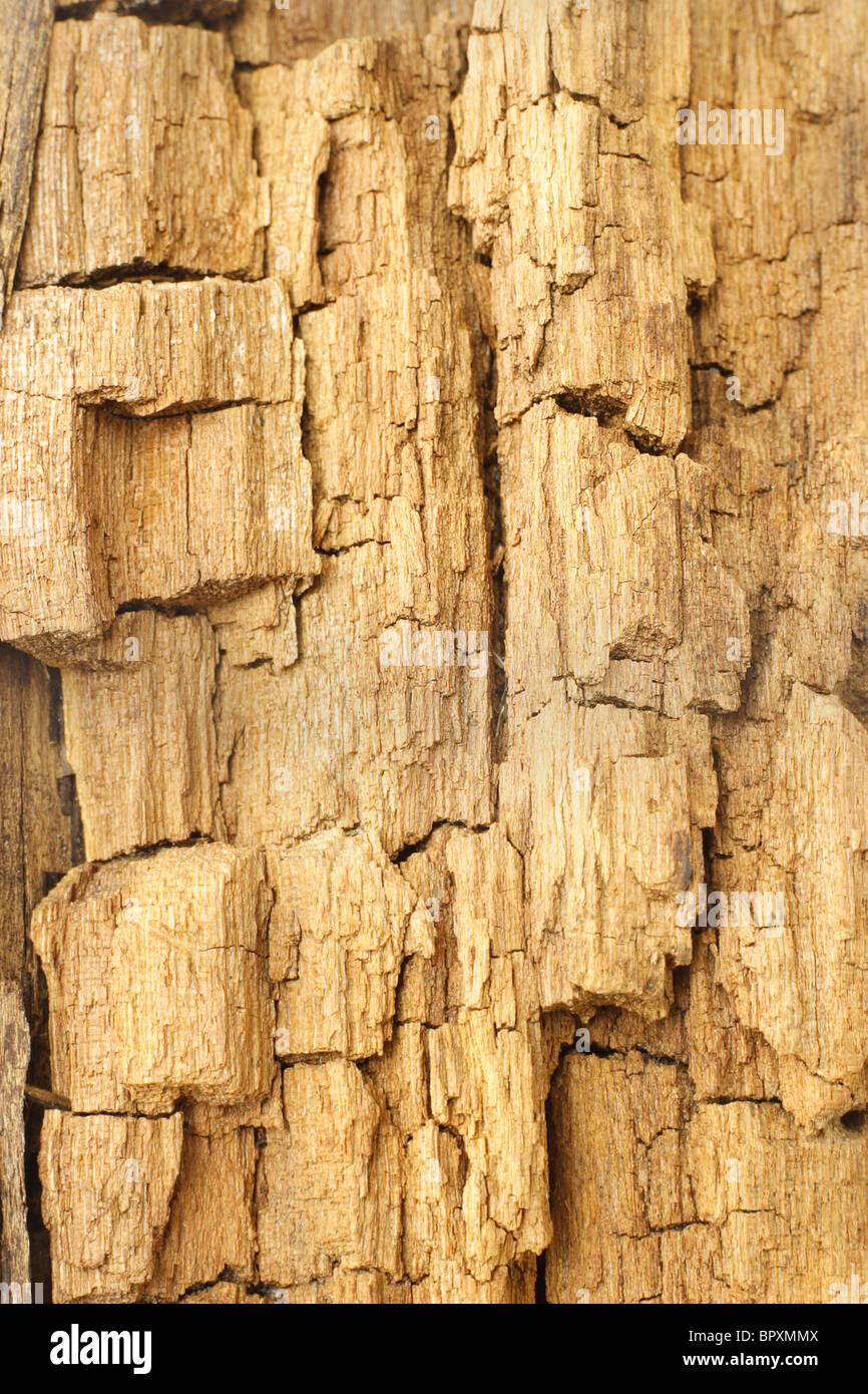Background of weathered and cracked wood surface texture Stock Photo