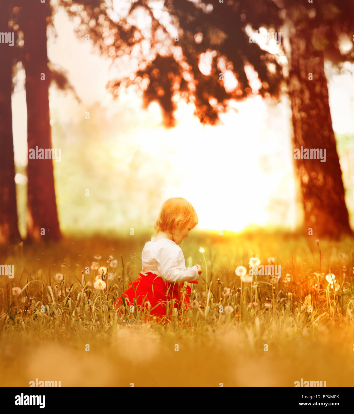 Little girl in the fairy tale forest Stock Photo - Alamy