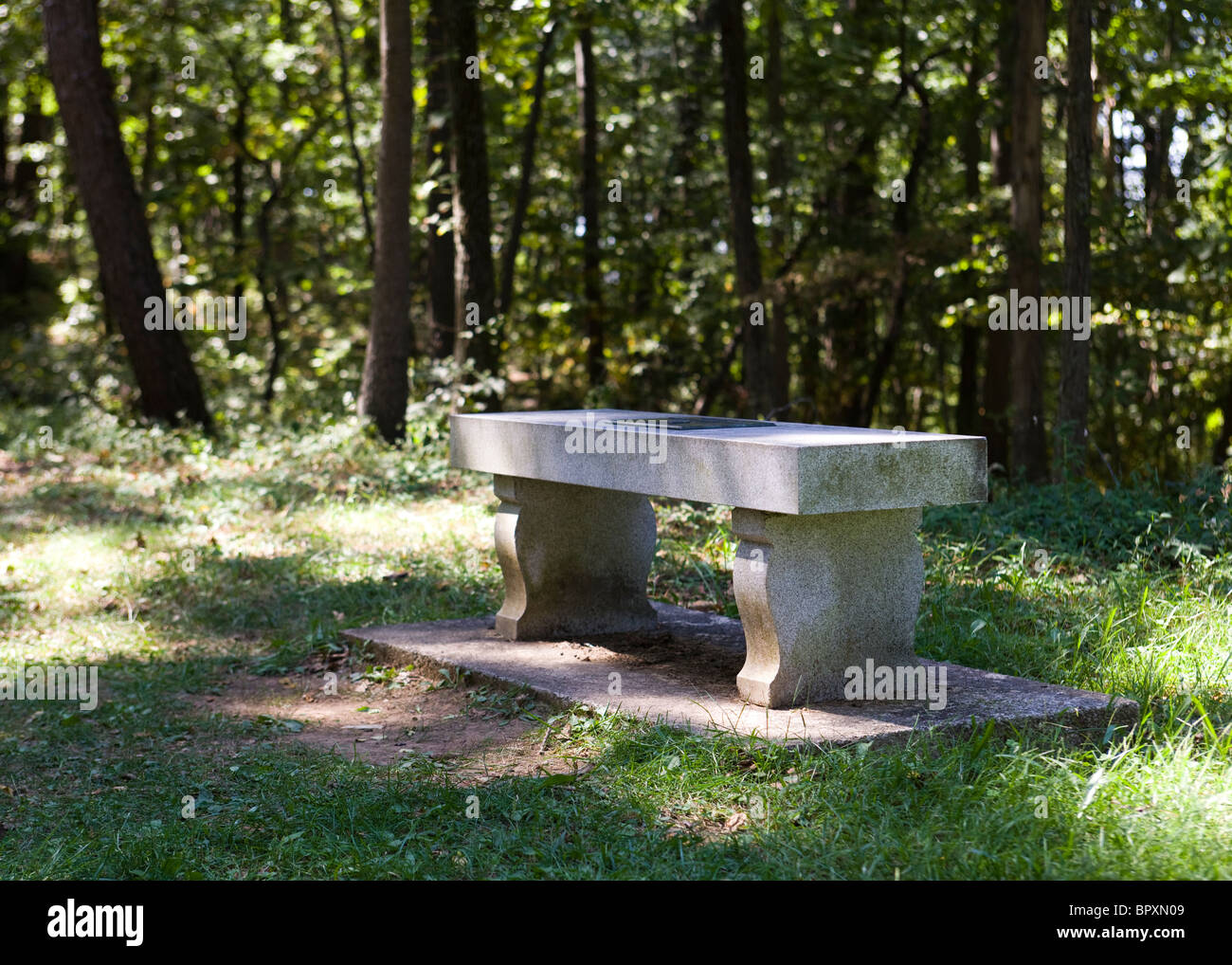 Stone bench in the woods Stock Photo