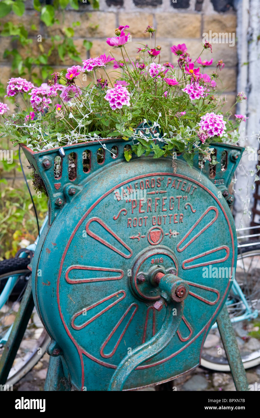 An old Root Cutter put to a new use as a floral display Stock Photo
