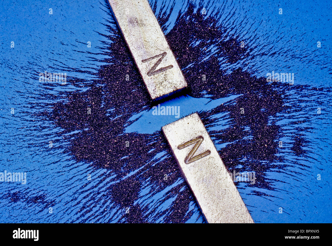 Iron filings show the opposing fields of the same poles of two bar