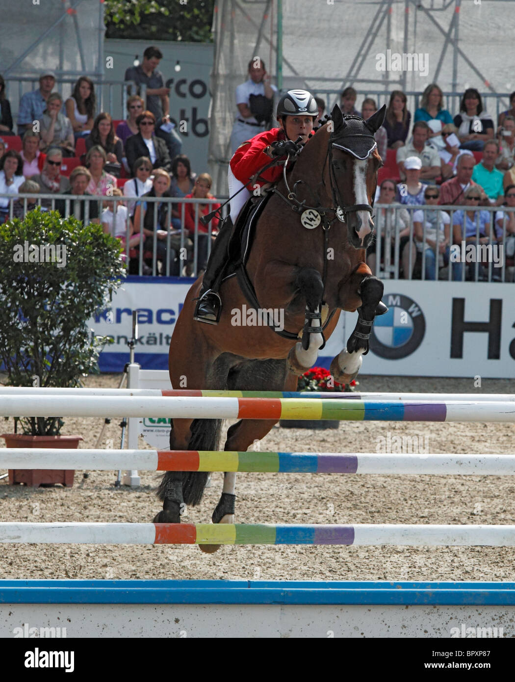 equestrian sports, German championships jumping and dressage 2010 in