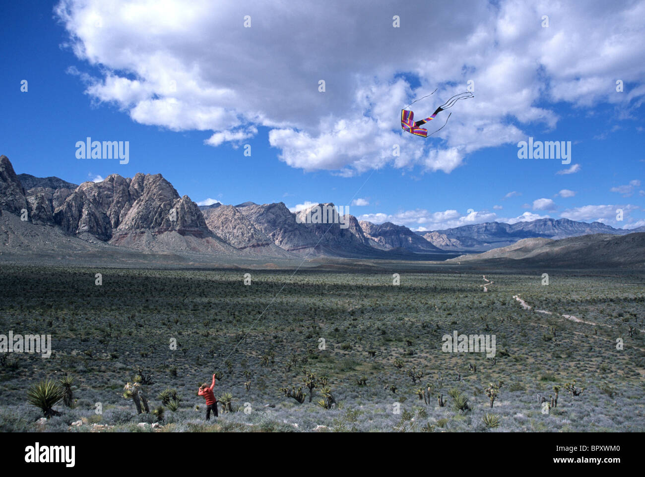 a woman flying a kite. Red Rocks National Conservation Area, NV. Stock Photo