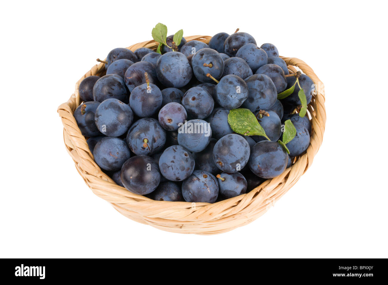 Damson plums hi-res stock photography and images - Alamy