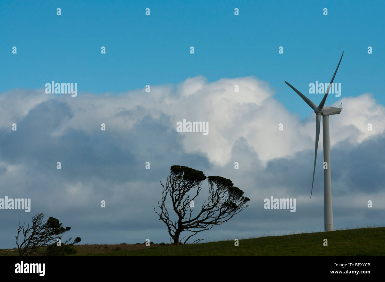 Wind power turbines at a wind farm near Portland in Victoria Australia Stock Photo