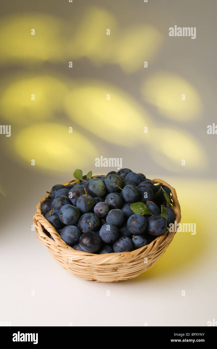 Damson Plums in a basket Stock Photo