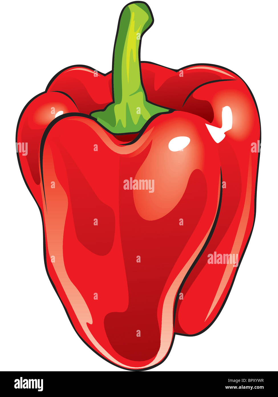 Drawing of a red bell pepper Stock Photo - Alamy