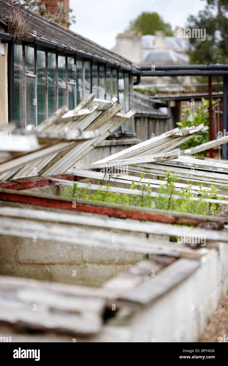 Old Green houses walled Victorian kitchen garden Stock Photo