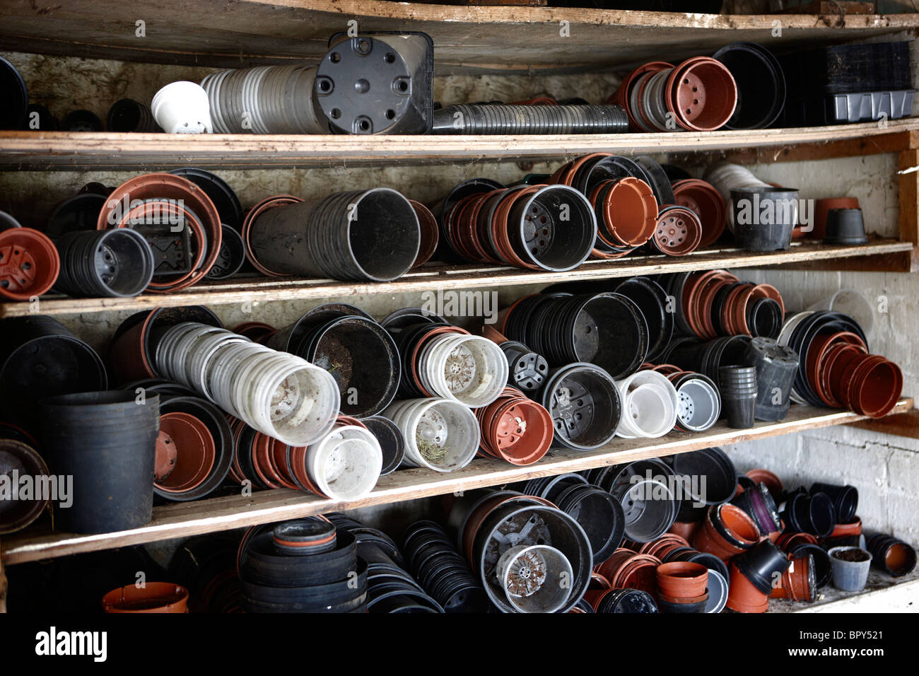 plant pots on shed shelf Stock Photo