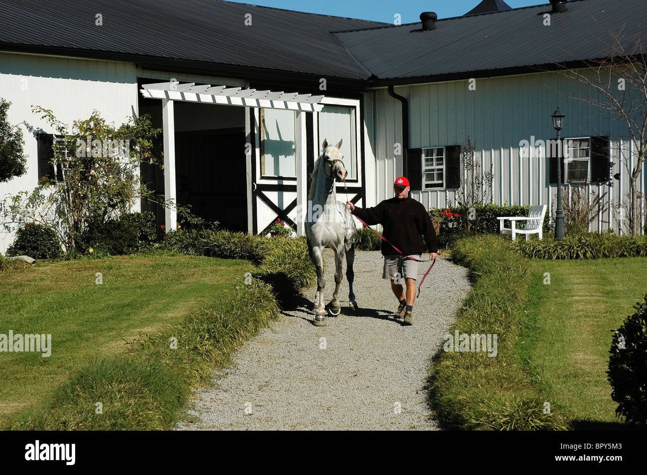Bridlewood Farm Breeding Tennessee Walking Horses Bell Buckle Tennessee