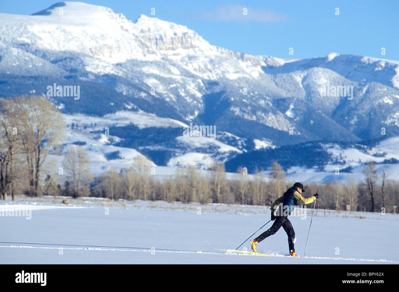 CrossCountry skiing by Sleeping Indian, Jackson, Wyoming Stock Photo Alamy