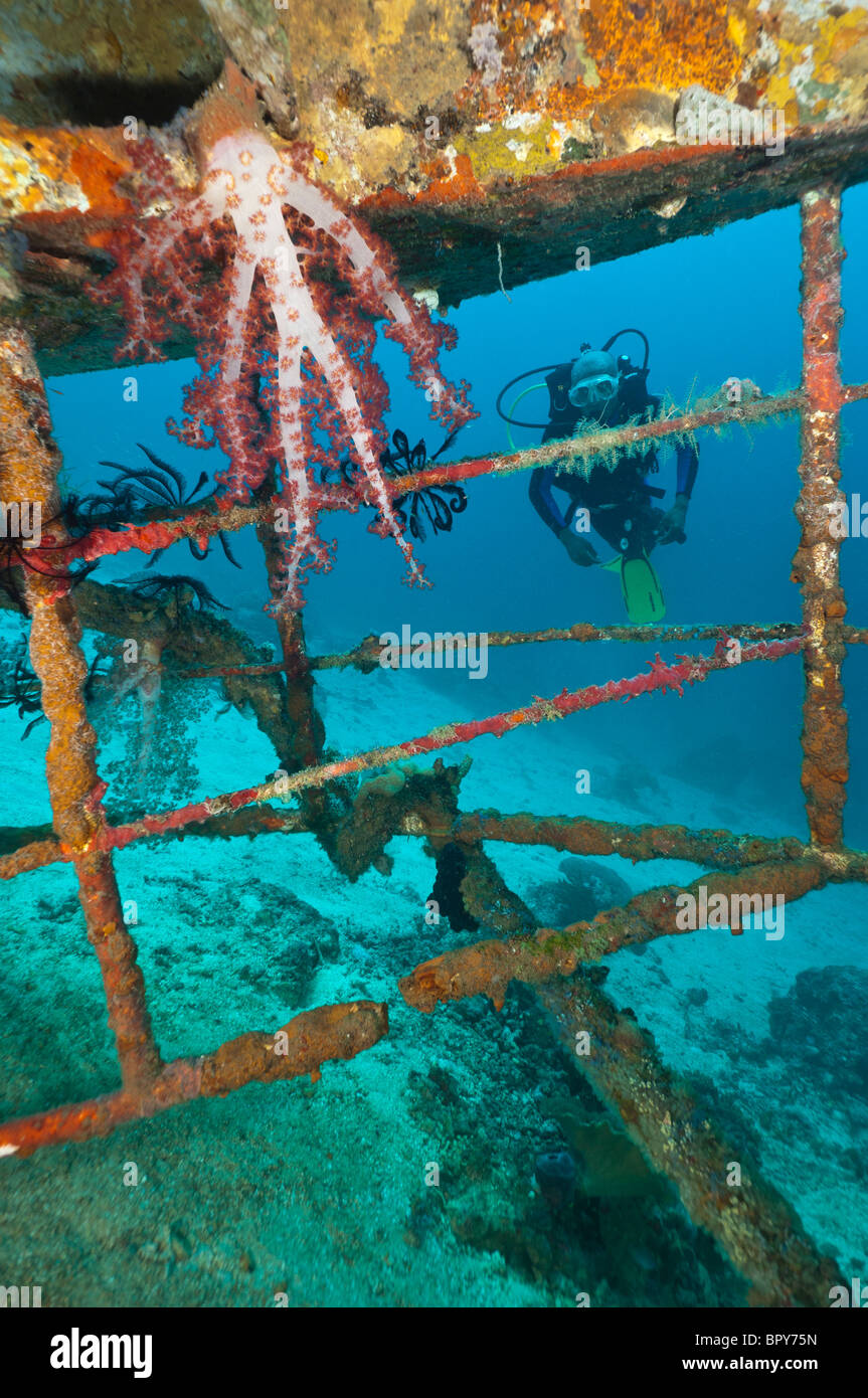 Diver exploring the 'Upside down' wreck, near Biak, West Papua, Indonesia. Stock Photo