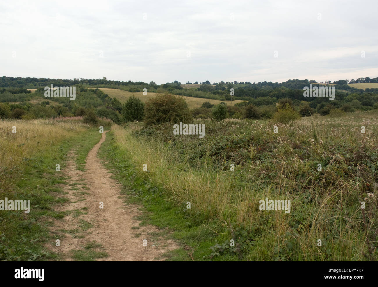 Tylers common brentwood essex Stock Photo