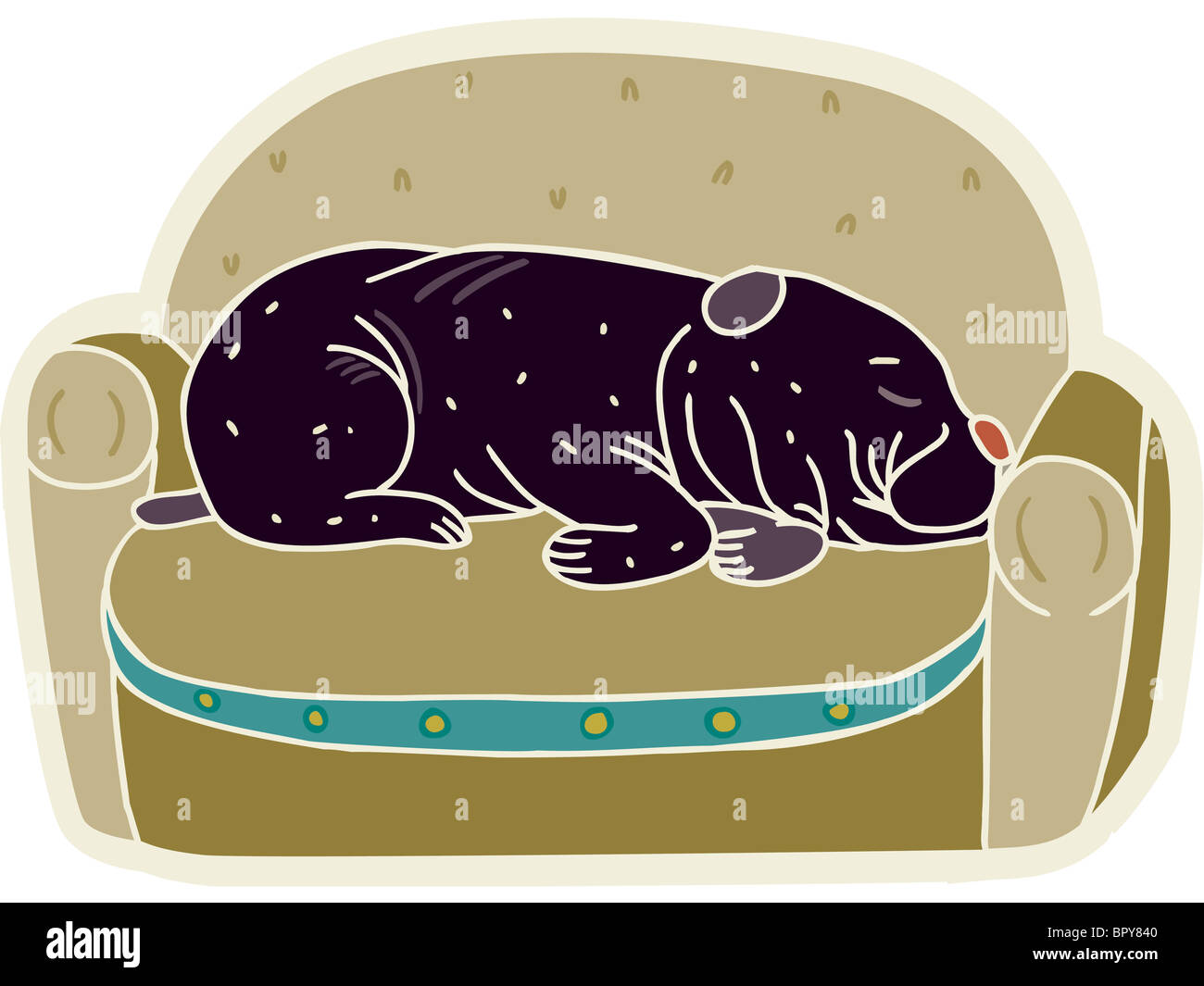 A cute black dog sleeping on a sofa Stock Photo - Alamy