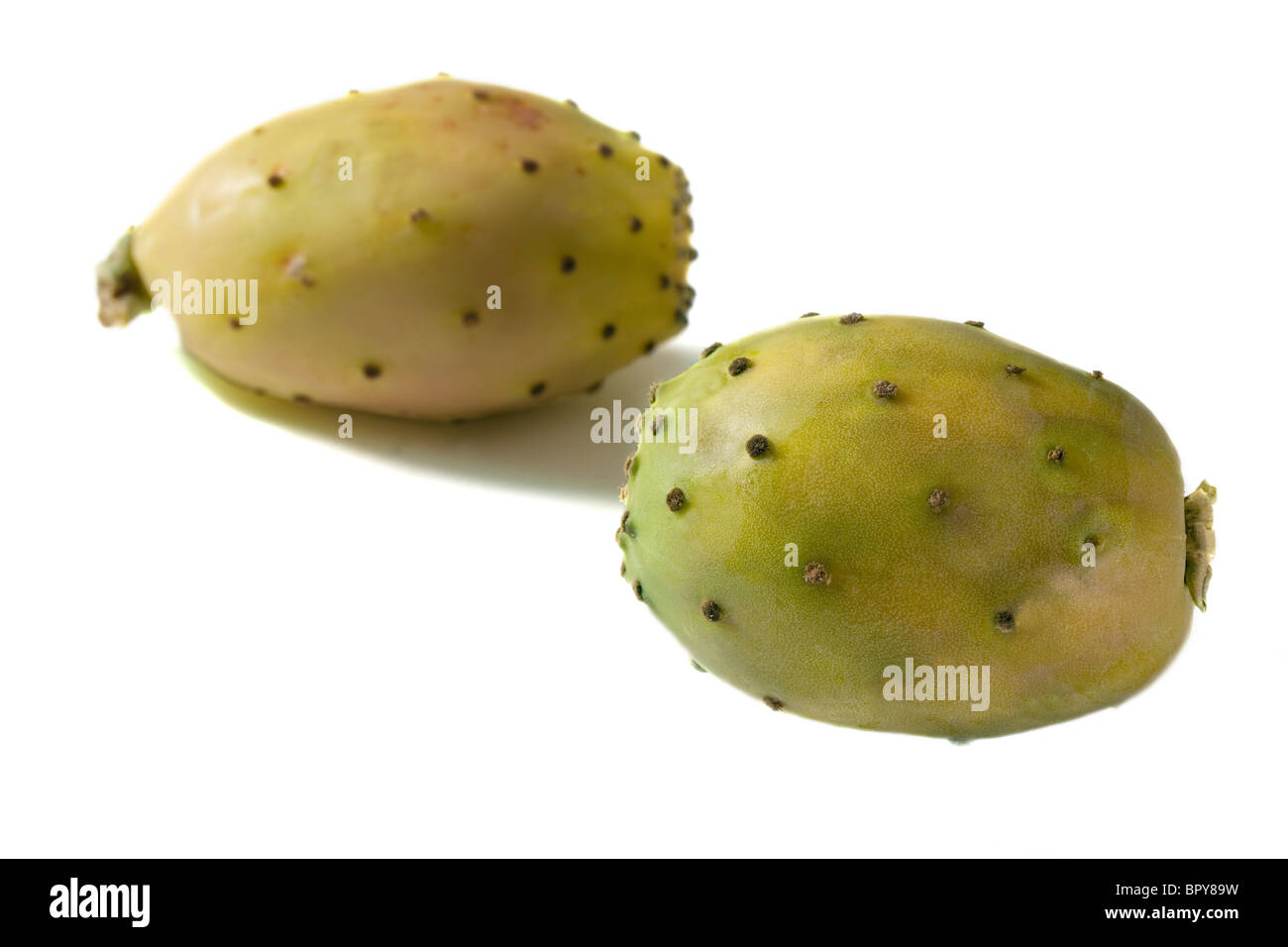 Prickly Pear cactus fruit Stock Photo
