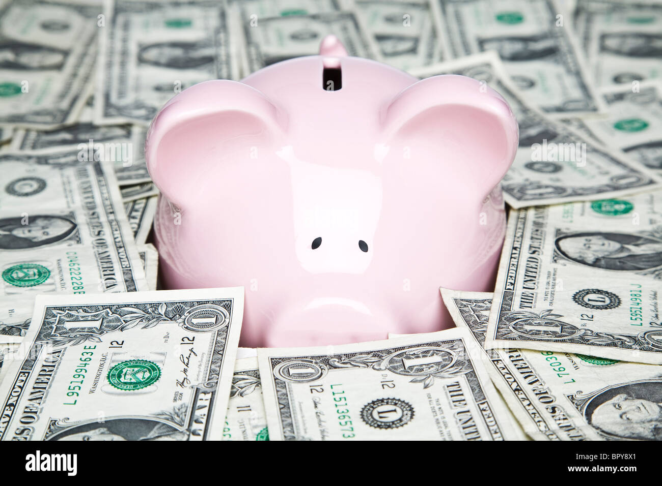 Piggy bank placed up to its nose in a pile of dollars Stock Photo