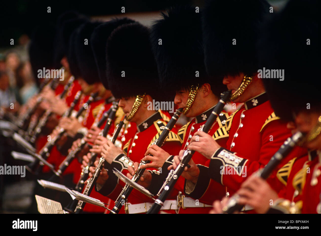 An entire rank of Grenadier Guardsmen musicians are playing clarinets as part of the Queen's Golden Jubilee celebrations. Stock Photo