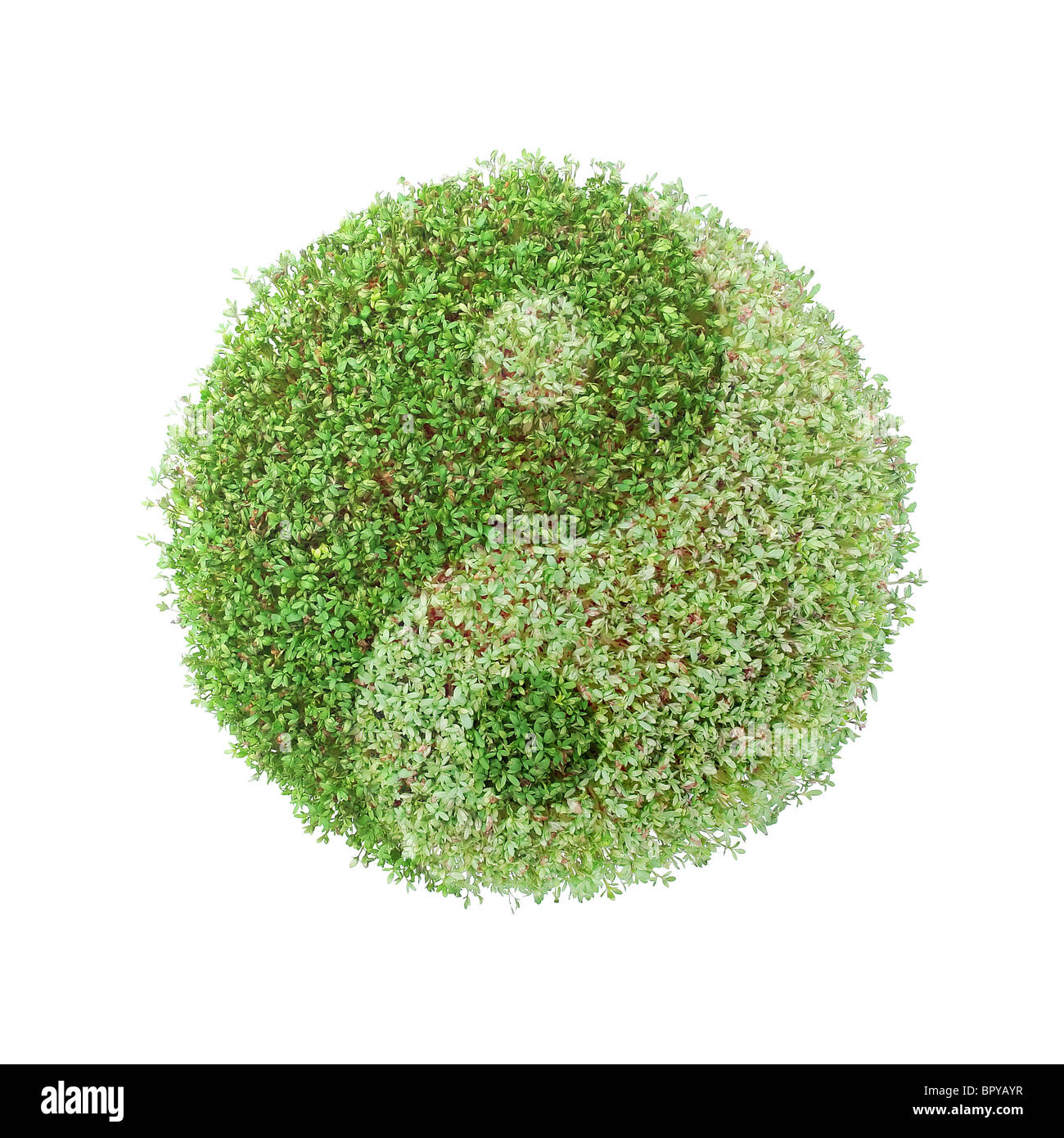 Green plant globe with superimposed ying-yang symbol over white background Stock Photo