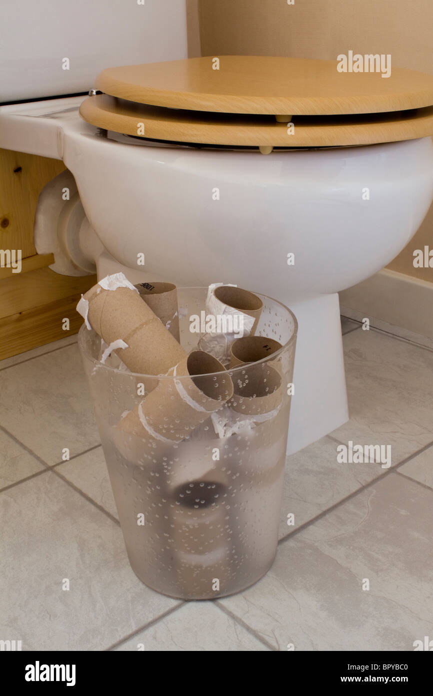 toilet roll cores in waste bin next to toilet Stock Photo Alamy