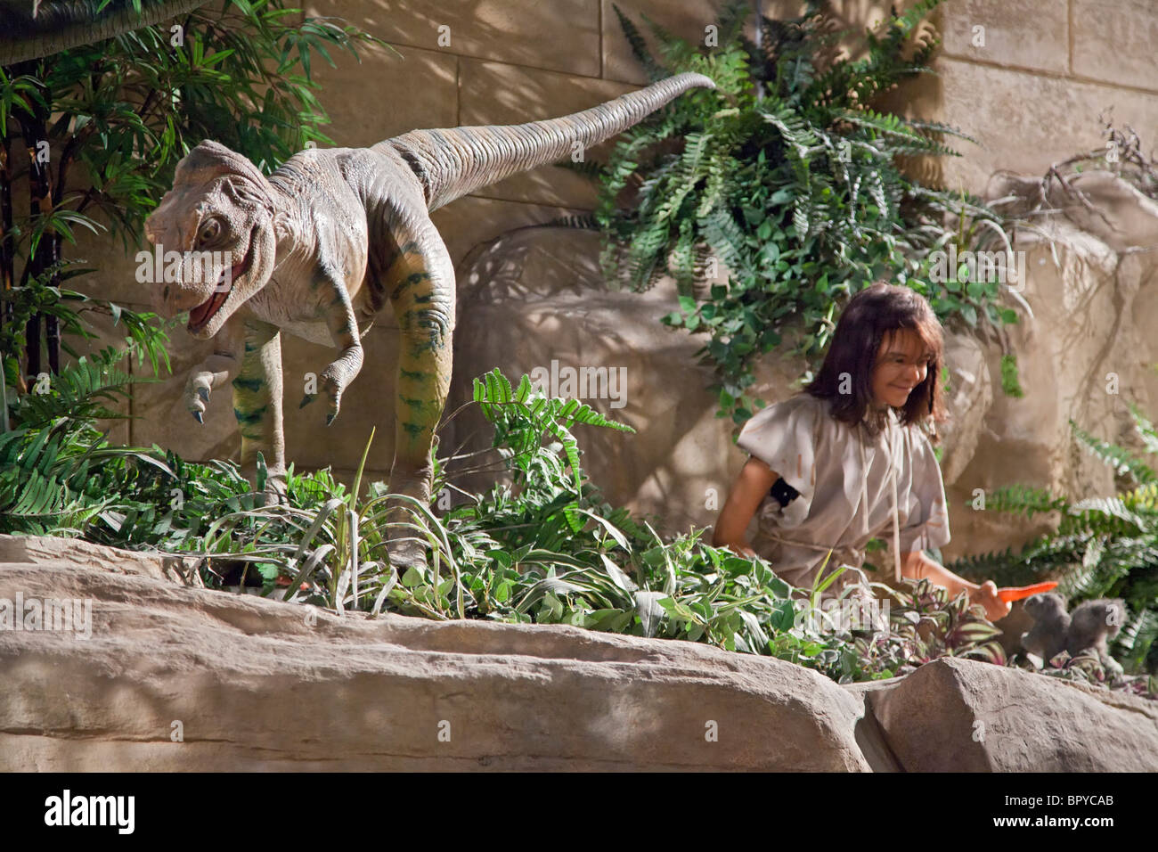 Creation museum, kentucky hires stock photography and images Alamy