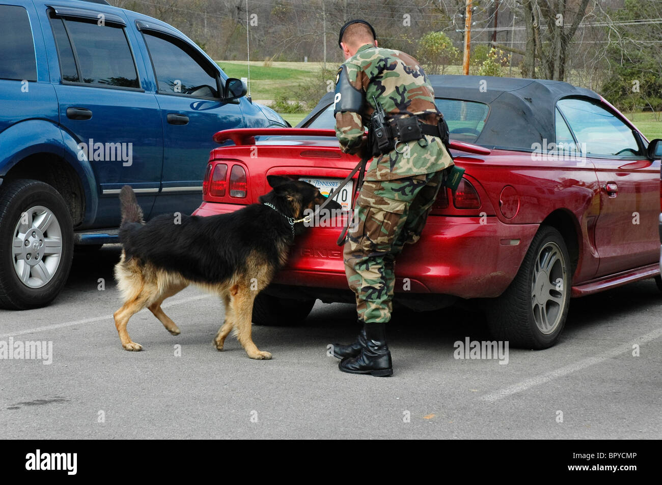 Drug Sniffing Dog Stock Photos & Drug Sniffing Dog Stock ...