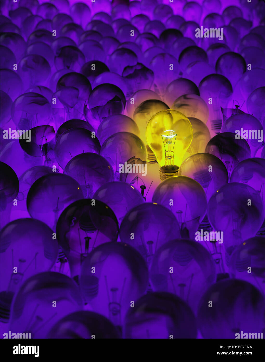 bright yellow incandescent light bulb in field of burnt out light bulbs Stock Photo Alamy