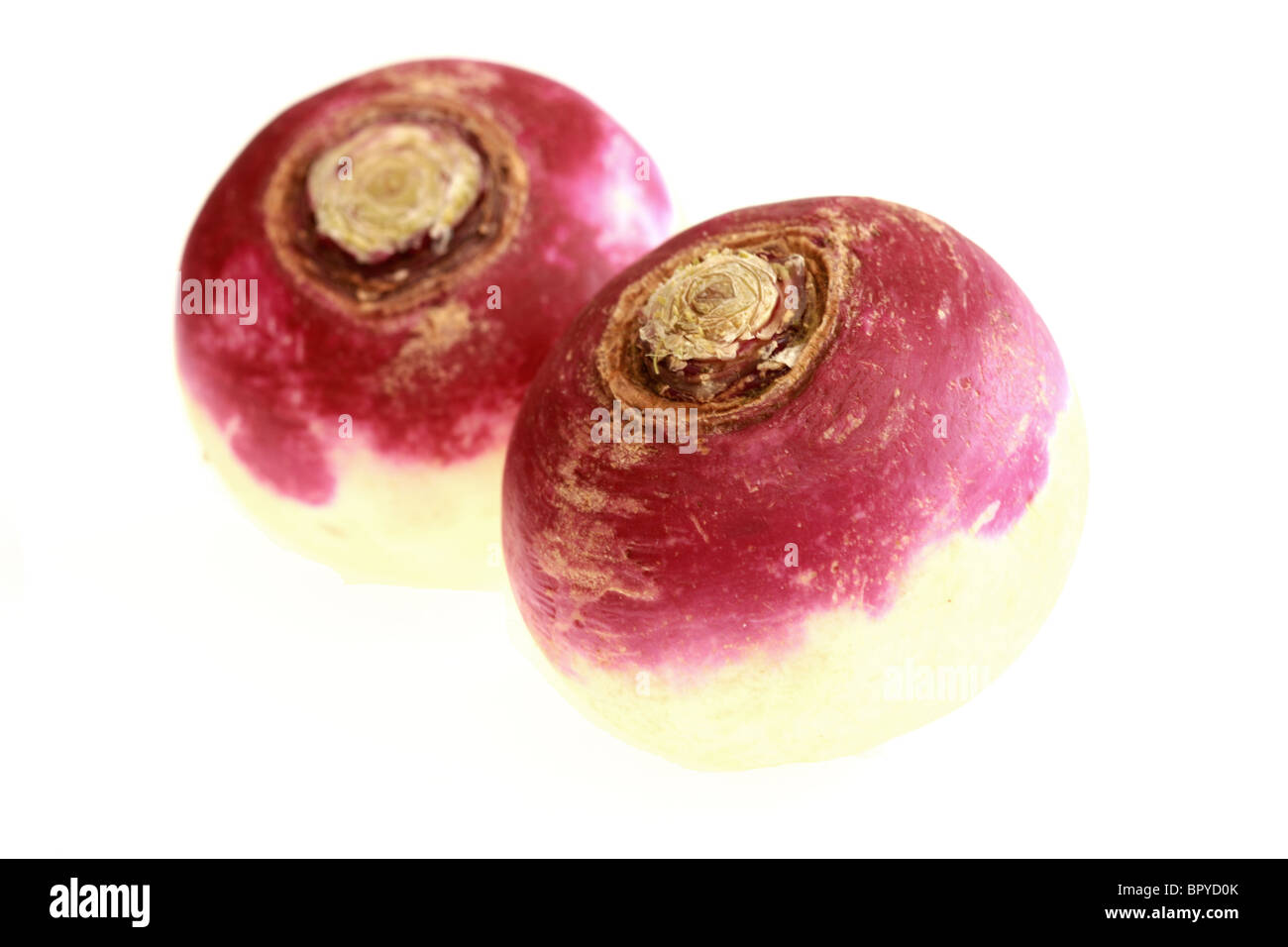Fresh Healthy Raw Uncooked Turnips Against A White Background With A Clipping Path And No People Stock Photo