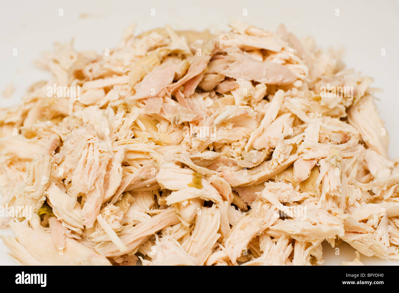 Shredded chicken meat. One of the steps in making homemade chicken soup or other healthy recipes. Stock Photo
