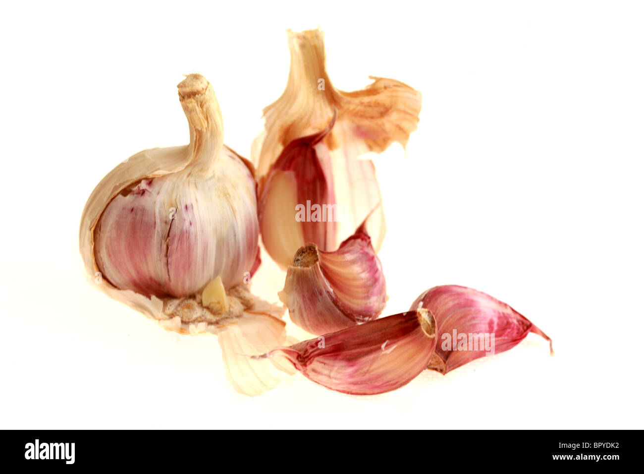 Freshly peeled cloves garlic hi-res stock photography and images - Alamy