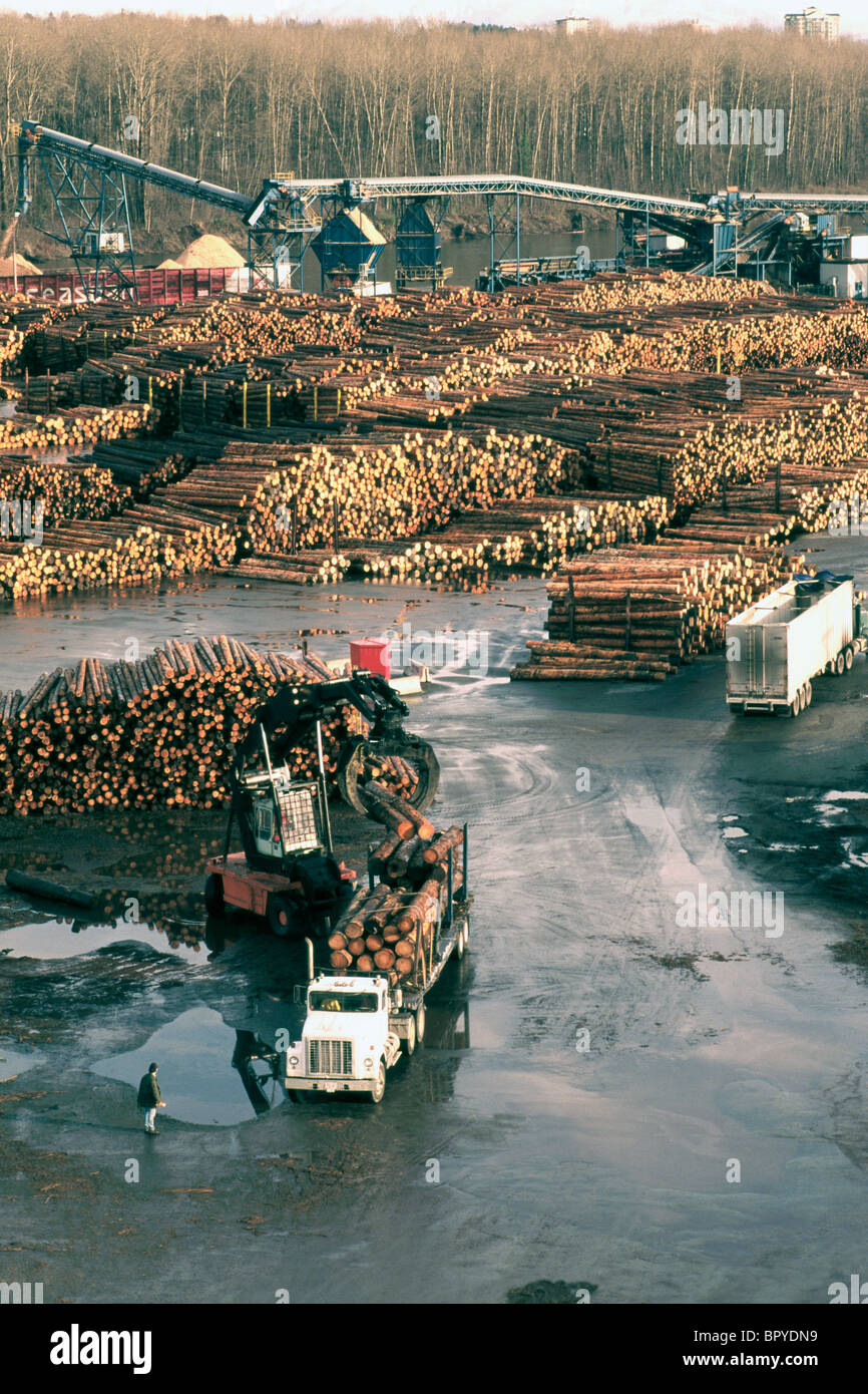 Log Sort Yard along Fraser River, Vancouver, BC, British Columbia
