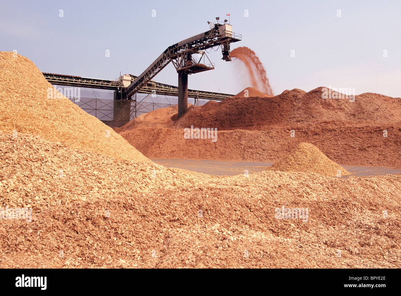 Wood Chips unloading onto Storage Pile at Wood Chip Terminal, Vancouver,  BC, British Columbia, Canada - Pulp & Paper Industry Stock Photo - Alamy