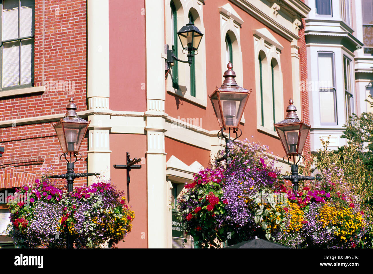 Street light hanging baskets flowers hires stock photography and