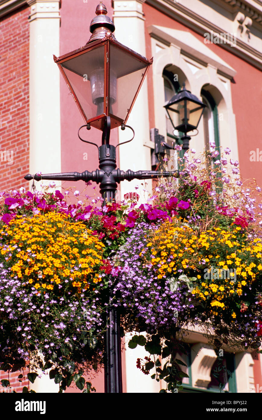 Hanging Flower Baskets, Bastion Square, Victoria, BC, British Columbia